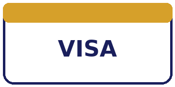 Logo Visa Card