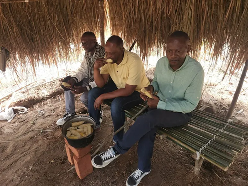 A Kananga