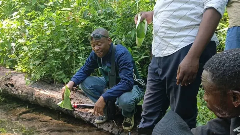 A Kananga