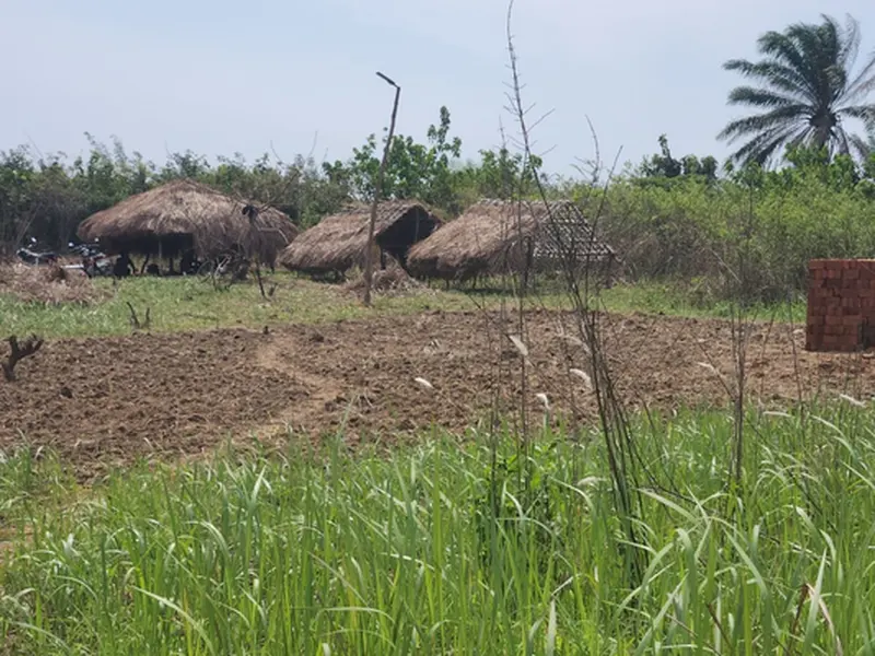 A Kananga