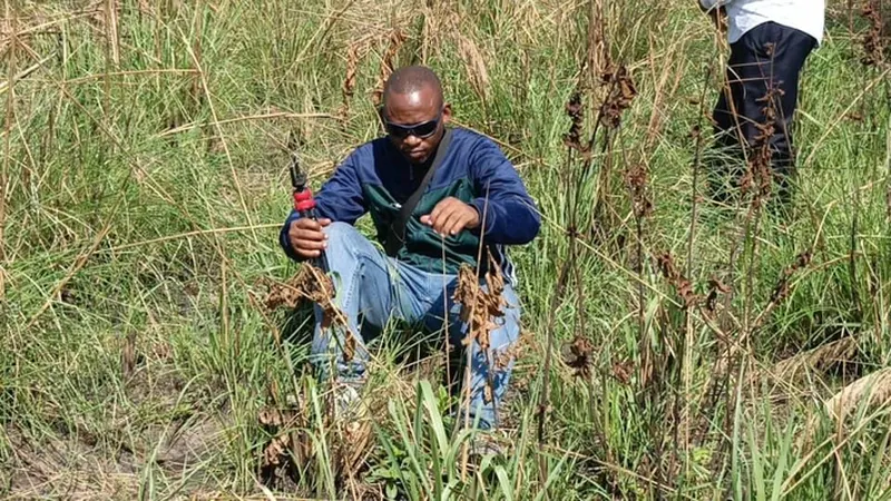 A Kananga