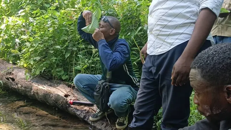 A Kananga